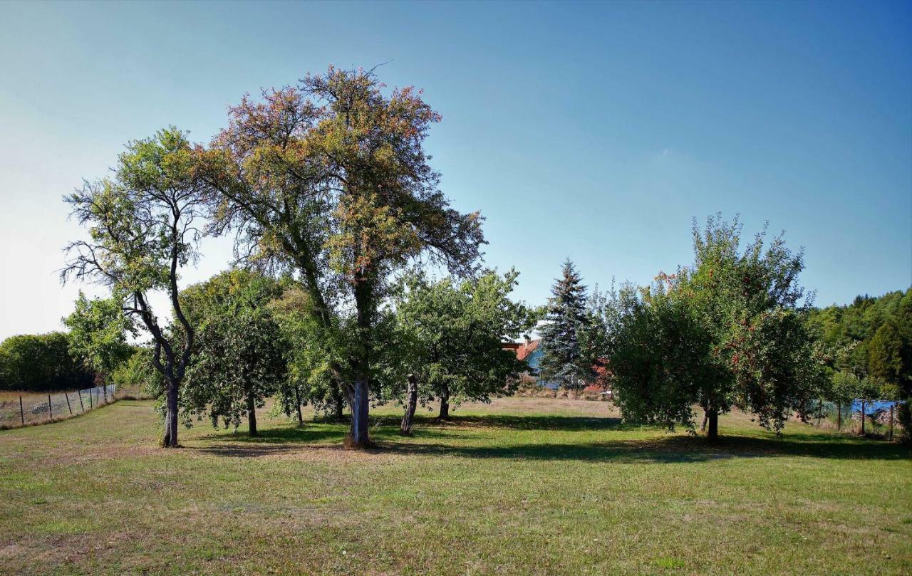 Ferienwohnung Roehrer Obertrubach Bagian luar foto